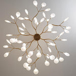 Lighting Ceiling Lights Chandeliers_5513O