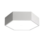 Lighting Ceiling Lights Flush Mount Lighting_4Bdvd