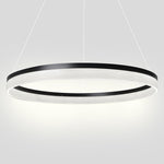 Lighting Ceiling Lights Pendant Lighting_340Lt