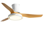 Modern Ceiling Fan with Dimmable LED Light and Remote Control