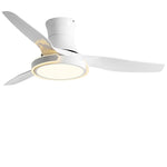 Modern Ceiling Fan with Dimmable LED Light and Remote Control