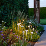 Mushroom Garden Lights Modern LED Landscape Lighting Set