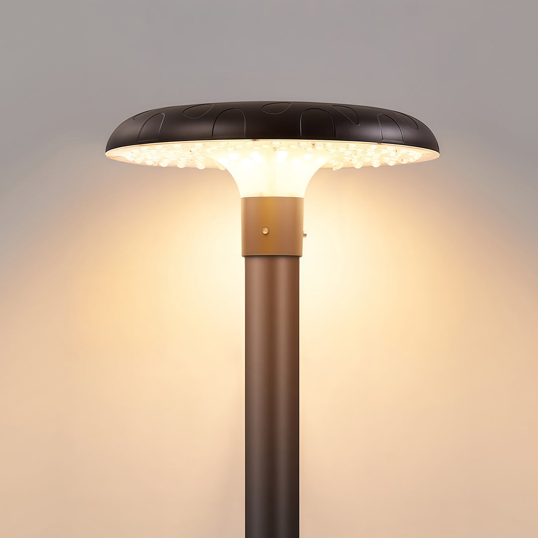 Architectural LED Street Light – Solar & Hardwired Outdoor Pole Lighting