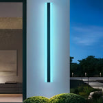 Luma Linear RGB LED Outdoor Wall Light in Stainless Steel