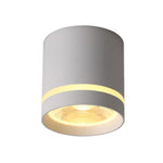 Lighting Ceiling Lights Flush Mount Lighting_549P1