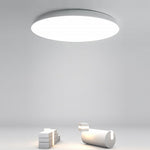 Lighting Ceiling Lights Flush Mount Lighting_Tli00281