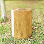 Sculptural Tree Stump LED Garden Light – Weatherproof Resin Landscape Lighting