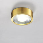 Aurelia Round LED Flush Mount Ceiling Light in Brass and Acrylic