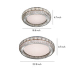 Lumina Crystal Flush Mount Ceiling Light – Contemporary LED Linear Fixture