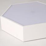 Lighting Ceiling Lights Flush Mount Lighting_4Bdvd
