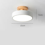 Lighting Ceiling Lights Flush Mount Lighting_4Sfn2