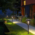 Solar-Powered Stainless Steel Outdoor Path Light with Warm White LED
