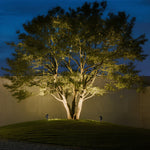 LED Landscape Spotlights with Die-Cast Aluminum Housing for Garden and Pathway Illumination