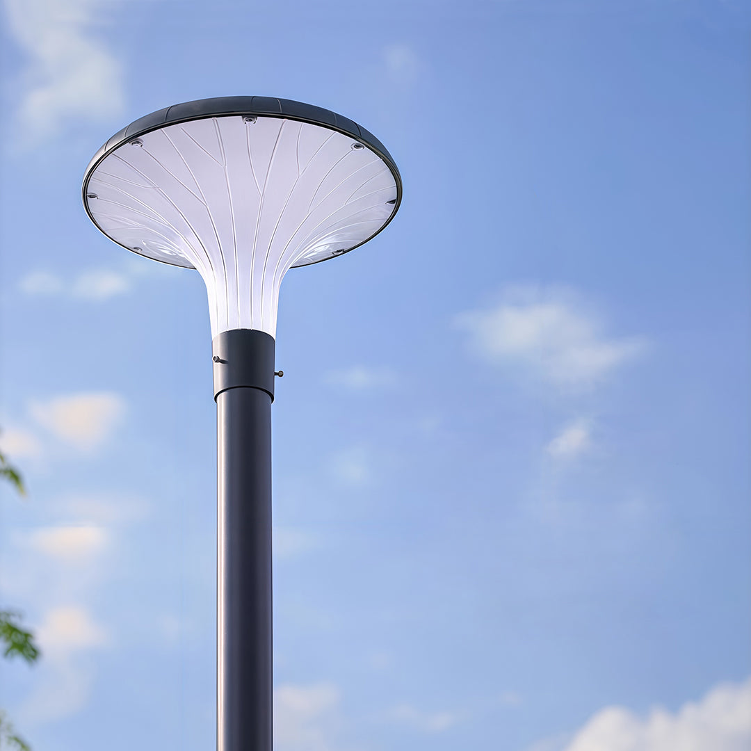 Solar & Hardwired LED High Pole Street Light – IP65 Waterproof Black Aluminum