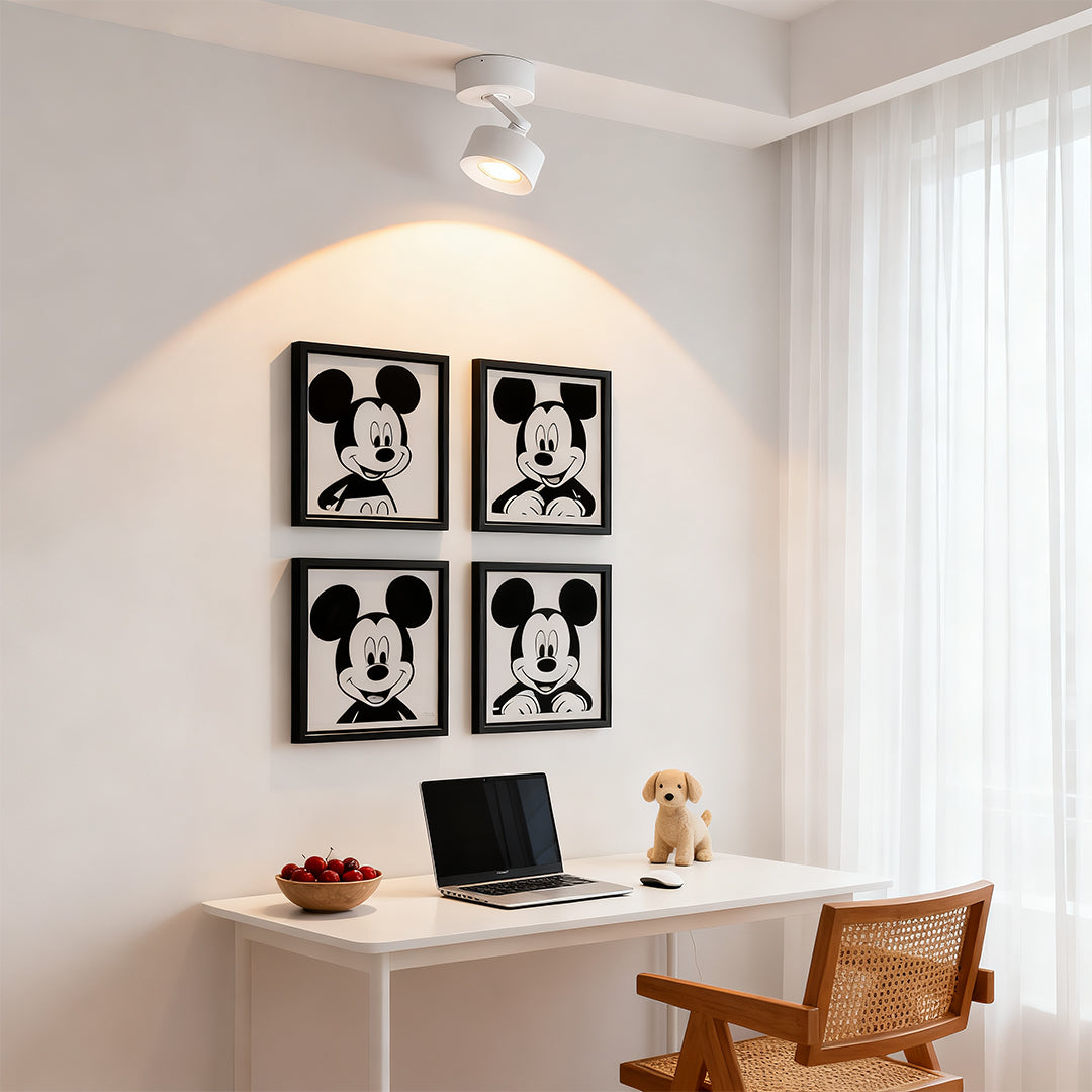Architectural LED Ceiling Spotlights | Directional Accent Lighting