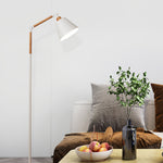 Modern Metallic Floor Lamp with Adjustable Arm for Living Room