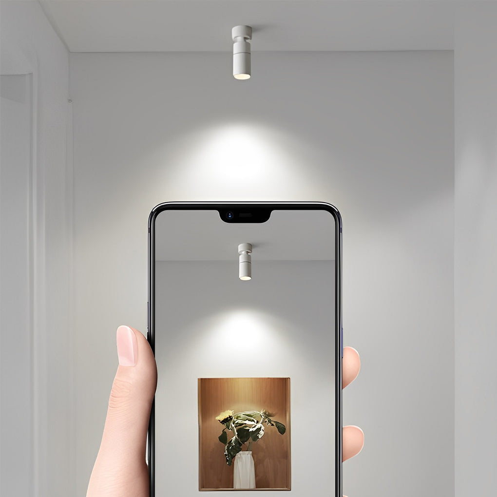 Modern Surface Mounted Spot Light with Adjustable Directional Head