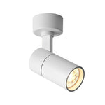 Modern Surface Mounted Spot Light with Adjustable Directional Head