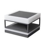 Modern Outdoor Pillar Top Light in Black Stainless Steel