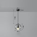 Smoked Glass Pendant Light with Matte Black Metal Shade