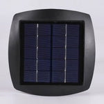 Solar Path Light with Dual Color Temperature for Modern Landscapes
