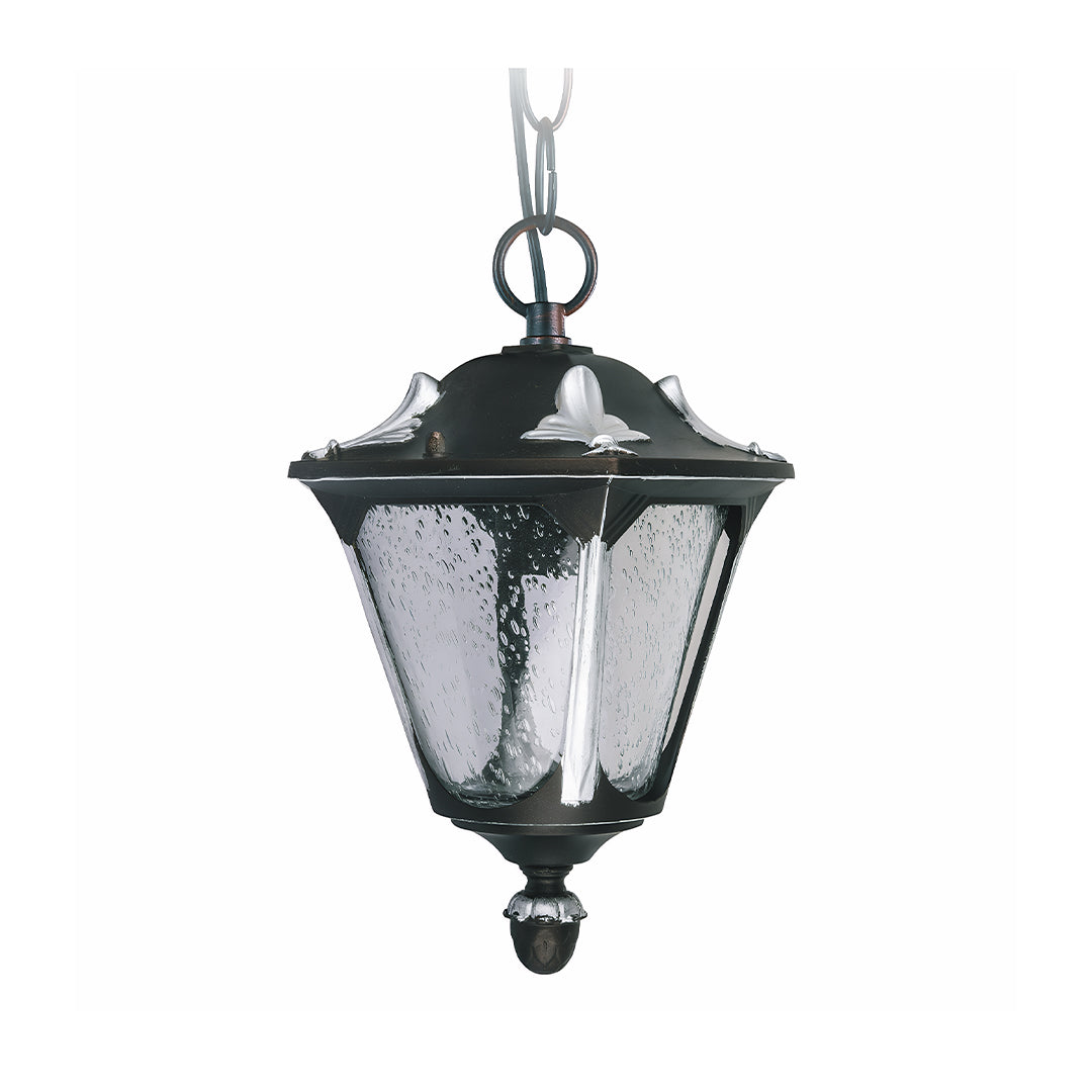 Modern Minimalist Outdoor Pendant Light with Clear Glass Shade