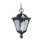 Modern Minimalist Outdoor Pendant Light with Clear Glass Shade