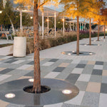 Architectural Inground LED Landscape Light, Stainless Steel Flush Mount