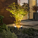 Landscape Tree Up Light – Stainless Steel Outdoor Garden Spotlight