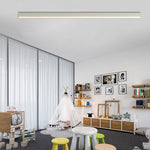 Minimalist LED Ceiling Light with Stepless Dimming and Remote Control