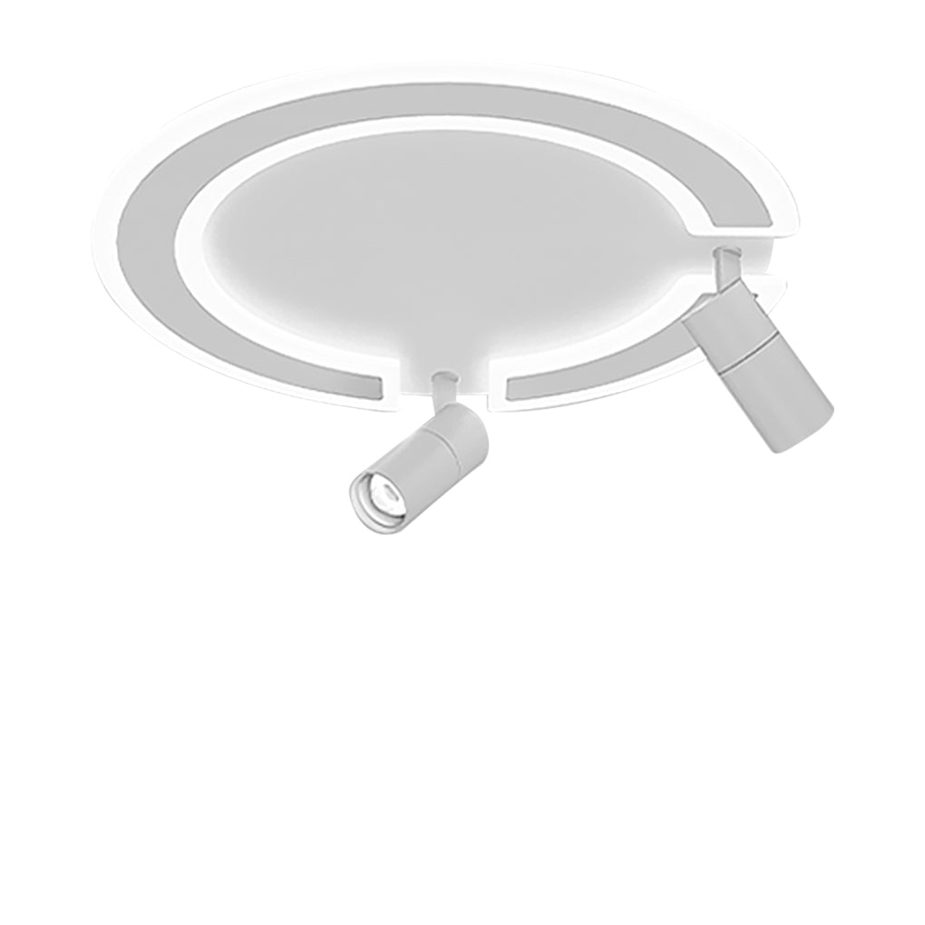 Lighting Ceiling Lights Flush Mount Lighting_Tli00217