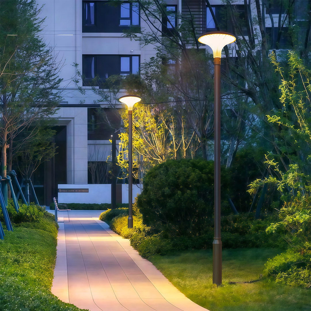 Solar & Hardwired LED High Pole Street Light – IP65 Waterproof Black Aluminum