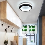 Lighting Ceiling Lights Flush Mount Lighting_4Jq5F