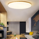 Lighting Ceiling Lights Flush Mount Lighting_50Hn0