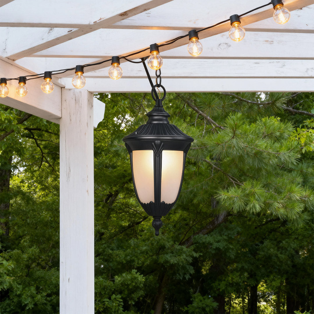 Black Aluminum Outdoor Pendant Light with Clear Glass Shade
