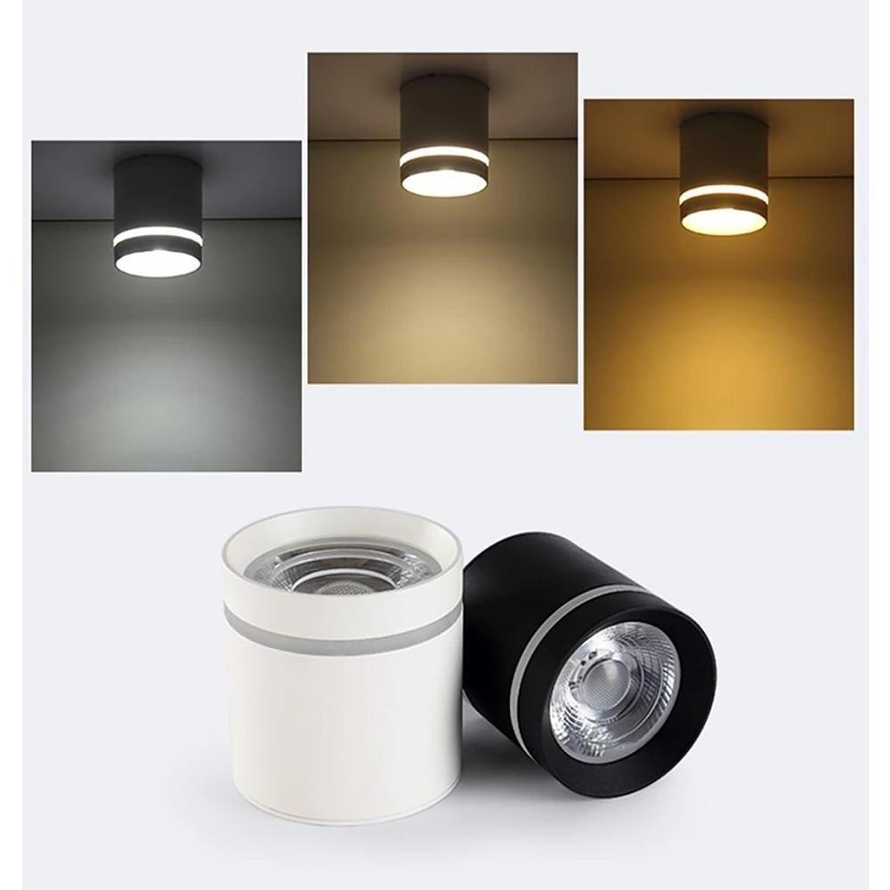 Lighting Ceiling Lights Flush Mount Lighting_549P1