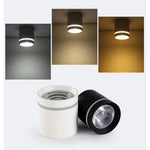 Lighting Ceiling Lights Flush Mount Lighting_549P1
