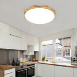 Lighting Ceiling Lights Flush Mount Lighting_52Tsb