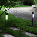 Modern LED Path Light with Clear Glass Shade for Garden Walkways