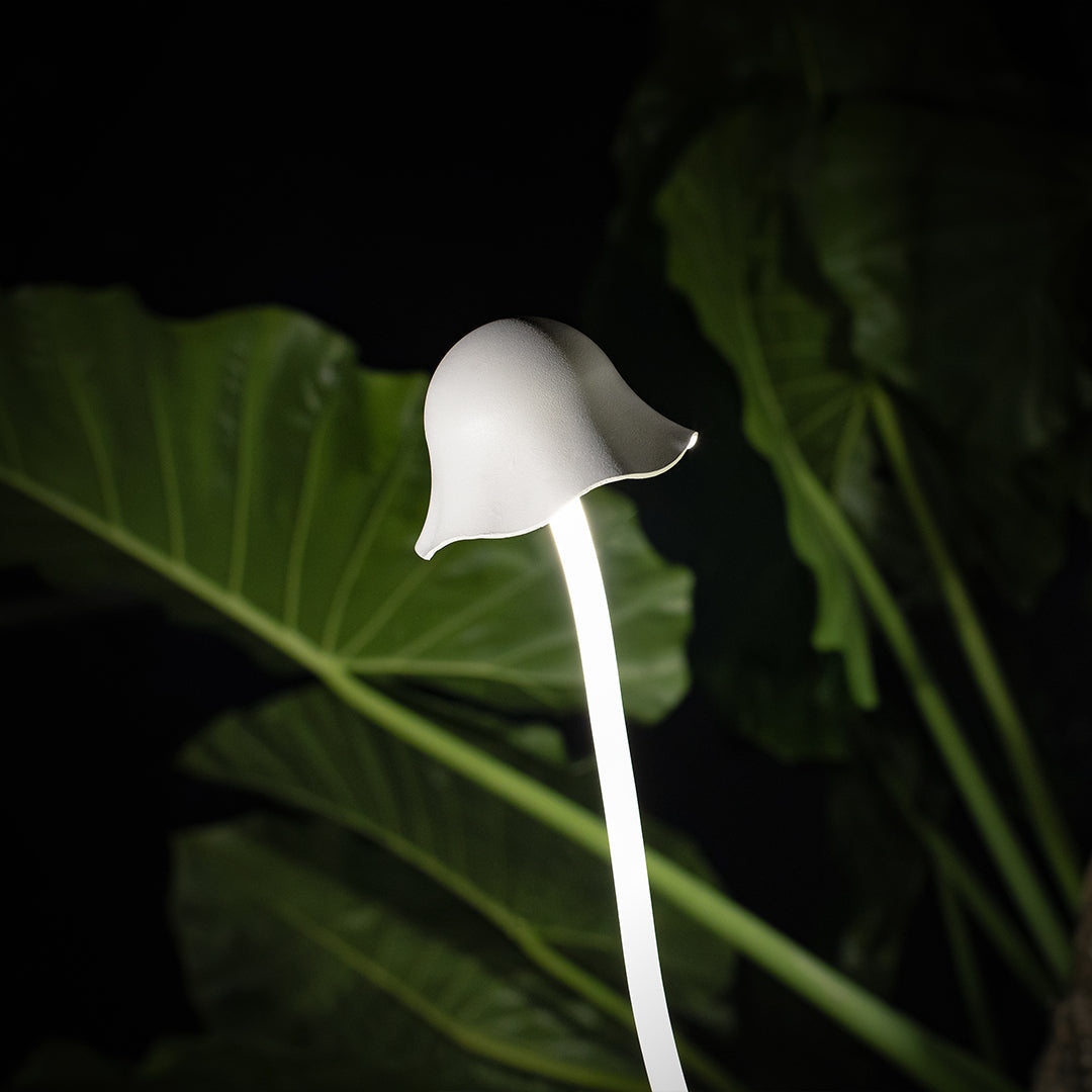 Modern LED Pathway Lights for Outdoor Landscapes, IP65 Waterproof Aluminum
