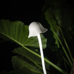 Modern LED Pathway Lights for Outdoor Landscapes, IP65 Waterproof Aluminum