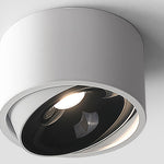 Ultra-Thin Adjustable Ceiling Spotlights, Set of 2, Modern LED Directional Lights