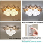 Lighting Ceiling Lights Chandeliers_4Xed5
