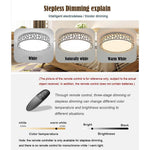 Lumina Drum LED Flush Mount Ceiling Light in Nordic Metal