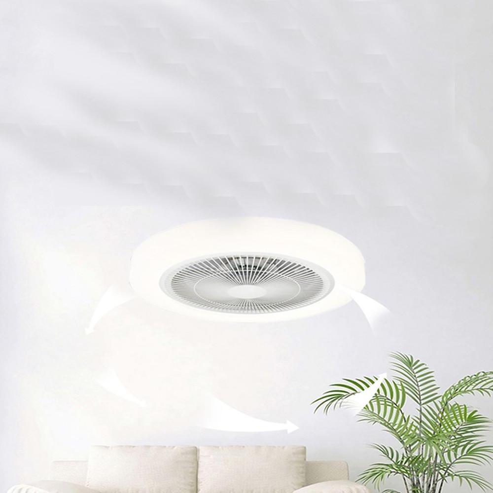 Lighting Ceiling Lights Flush Mount Lighting_54Z3D