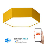Lighting Ceiling Lights Flush Mount Lighting_4Bdvd