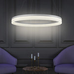 Lighting Ceiling Lights Pendant Lighting_340Lt