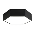 Lighting Ceiling Lights Flush Mount Lighting_4Bdvd