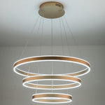 Lighting Ceiling Lights Pendant Lighting_4Fphd