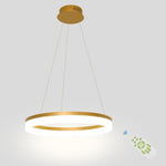 Lighting Ceiling Lights Pendant Lighting_340Lt